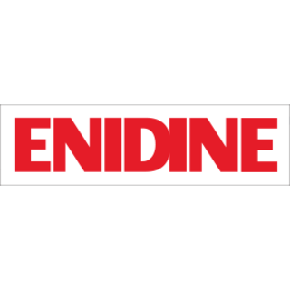 Picture of Endine logo
